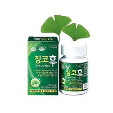 징코후 은행잎추출물 혈행개선 기억력개선, 2박스, 120정