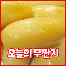 전통방식 국산 무짠지 1kg 여름철 대표 밑반찬, 1개