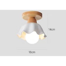 華燈惠 日式原木吸頂燈 走廊玄關燈具, B款, B款