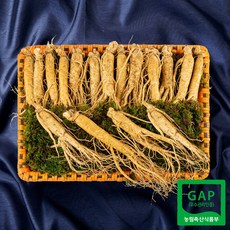 [풍기인삼] 6년근 수삼 선물세트 5호 800g 15-20뿌리, 1개