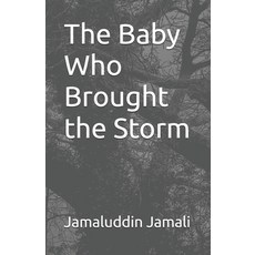(영문도서)The Baby Who Brought the Storm Paperback