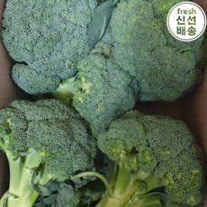 [신선 국산] 산지직송 브로콜리 국내산 브로컬리 브로콜리니 Korean Fresh Broccoli, 1박스, 1kg