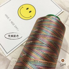 台孟牌 彩色繡花線, 1個, 彩色 繡花線