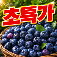 [파격초특가세일] 엄격선별 초고당도 생 블루베리, 1개, 100gx1팩