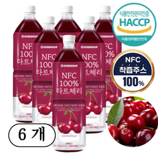 물 한방울 섞지않은 NFC 100% 튀르키예산 타트체리 주스, 6개, 1L