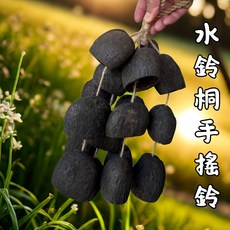 天然材質手工敲擊樂器，兒童音樂啟蒙玩具，節奏感培養，附贈鼓棒, 天然水鈴果殼串鈴, 1個