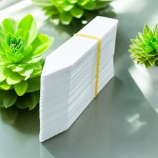 식물이름표 일자형라벨 1.5cmx8cm 100P 화분이름표 다육이 식물라벨