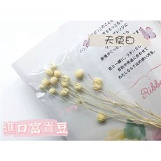 大地農園 相思豆 不凋花, 天使白一份, 天使白