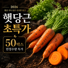 [50박스 한정특가] 아삭달큰 국내산 햇 흙당근 산지직송, 1박스, (중) 5kg