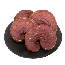 경동시장 국산 영지버섯 (통) 500g, 1개, 500