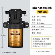 12V農用電動噴霧器水泵隔膜泵, 1個, 小功率泵【銅芯電機】無贈品