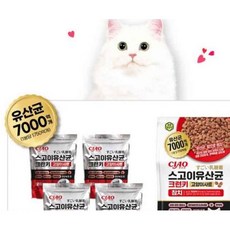 집사사랑 고양이 유산균 사료 1.52kg 크런치 1P 기호성 연어