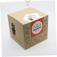 실내 채소 재배 세트 가정용 허브 텃밭 키트 루꼴라 씨앗 포함 초보자 원예 화분, 상세페이지 참조