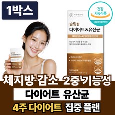 체지방 감소 다이어트 유산균 중년 내장지방 복부지방 뱃살 보조제 /12개구매 리셋90 증정, 1박스, 120정