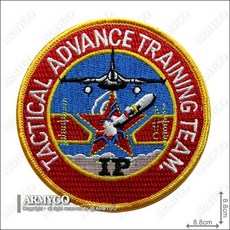 ARMYGO 空軍 IDF 經國號 戰鬥機 戰精班教官章 模型，精緻細節重現，軍事模型收藏首選, 1個, 不車魔鬼氈