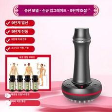 고주파기 고주파온열치료기 가정용 마사지 선물없음, [충전식 모델] 9단계+쑥 에센셜 오일 4병, 기본 모델명/품번