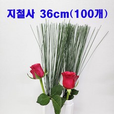 (샤인몰) 27호 지철사 꽃철사 녹색 소분 100개 무료배송/원예 공예용/화훼장식기능사 준비물
