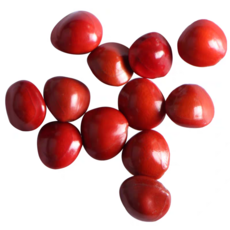 相思豆1顆 - 愛情種子，居家擺飾，幸運小物, 1個