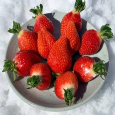 [친환경 고당도특수농법] 산지직송 논산 설향 딸기, 1박스, 700g(한입과)