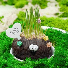 토피어리만들기 이끼인형 잔디인형 식물테라피, 토피어리만들기 KAMK