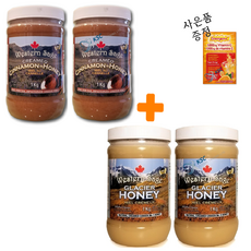 웨스턴세이지 캐나다 석청 빙하 꿀 허니 계피꿀 4병세트+멀티비타민 캐나다 직배송, 1kg, 4개
