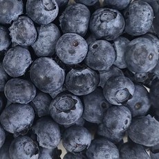 싱싱한 칠레산 생블루베리 125g 2팩 슈퍼푸드 과일