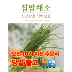 [집밥채소] 국내산 부추 컷팅 부추 원물 생부추, 1개, 5kg