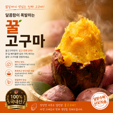 [마켓판다] 국내산 당도선별 해남 꿀고구마, 1박스, 중 (5kg)
