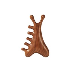헬스와미 나무 괄사 마사지 두피 얼굴 손목 나무 괄사 빗 지압, 3개, brown