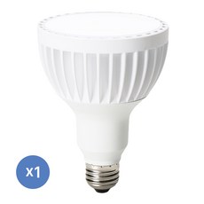 라인조명 LED 에코 PAR30 30w 에너지효율1등급 아주밝음 확산형, 주광색(흰빛), 1개