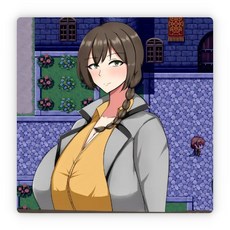 近衛騎士薇茵的日常 官方中文步兵版 PC遊戲 (T13348) - 存檔新作, 1個