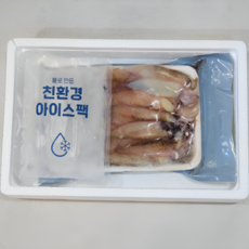 통찜용 한치 500g 15-30미 내외 내장가득 술안주 추천, 1세트, 500g(15~30미내외)