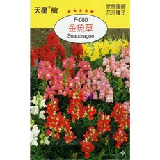 天星牌 金魚草 Snapdragon 種子 (原包裝) - 家庭園藝花卉種子, 1包