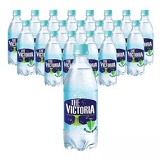 빅토리아 청포도 500ml 20입, 20개