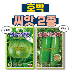 호박씨앗 2종 풋호박씨앗+애호박씨앗 호박 키우기 채소 종자 텃밭, 2개