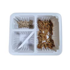 살아있는 nb 생밀웜 서비스밀기울O 극소밀웜 간단세트 50마리 게코 도마뱀 사마귀 먹이, 1세트, 간단세트50마리(중)