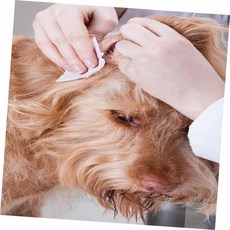 온리진 에티펫 귀 물티슈 30매 반려견귀청소