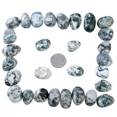 SUNYIK 1LB Tree Agate Tumbled Polished Stones 0.7''-1.3'' Healing Crystals for Jewelry Making R, 나무 마노, 0.7''-1.2''