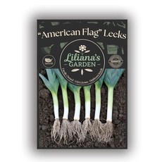 American Flag Leek Seeds – USA Grown Heirloom – Mild Sweet Onion Flavor – Non-GMO Open-Pollinat
