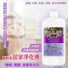樂在生活館 純粹真居家淨化液 1000ml, 詳見包裝, 詳見包裝