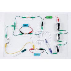 Arbor Scientific전기 회로 키트 전압 저항 및 전류 소개 물리학 STEM 강의실 교사 가이드 포함