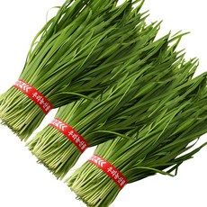 국내산 싱싱한 햇 부추 정구지 묶음, 1개, 1.8kg
