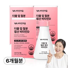 비타민마을 와이즈 더블업 철분 엽산 비타민D, 60정, 3개