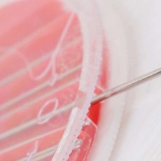 가정용이불바늘 옷수선용손바늘 장바늘보관통 중바늘케이스