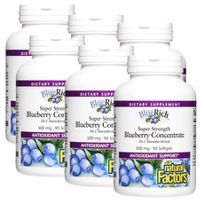 내추럴팩터스 슈퍼 스트렝스 블루베리 컨센트레이트 500mg 소프트젤 Natural Factors Super Strength Blueberry, 6개, 90정