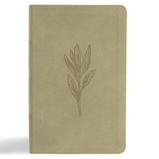 (영문도서)KJV Single-Column Personal Size Bible Sage Suedesoft Leathertouch Imitation Leather, Holman Bible Publishers, English, 9798384533573