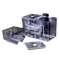 吸盤掛勾式孵化盒 孔雀魚繁殖盒 多功能隔離盒 鬥魚隔離箱, 1個, 2格