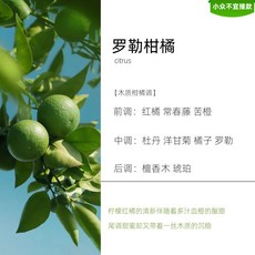 香氛蠟燭 香薰蠟燭禮盒，精油香氛，創意房間香薰，生日禮物，姐妹禮物，實用型ins風擺件, 羅勒柑橘（白色）