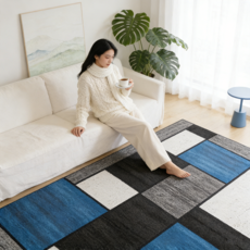 소파용 카펫 사계절 러그