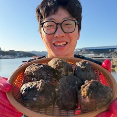 [물보라수산]통영 자연산 돌멍게1kg, 1개, 1kg